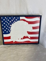 Proud Of Who We Are Framed Bald Eagle