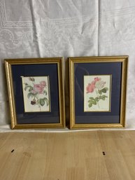 Two Framed Floral Prints