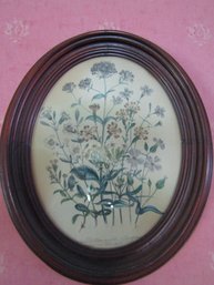 Vintage Antique Floral Print In Oval Wood  Frame