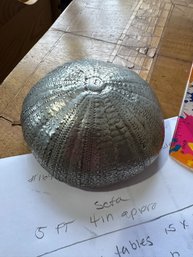 4' SAND DOLLAR PAPERWEIGHT