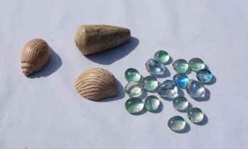 Decorative Sea Shells & Glass