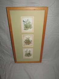 Framed & Matted Herbs Print 21' X 11'