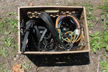 BUNGEE CORD LOT