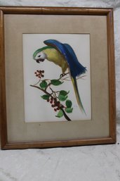 Original Parrot Oil Painting On Satin