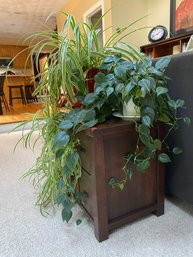 Pair Of Potted Plants