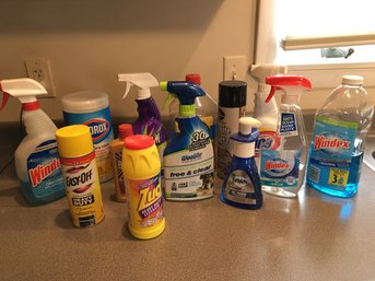 Cleaning Products - Windex Group 2