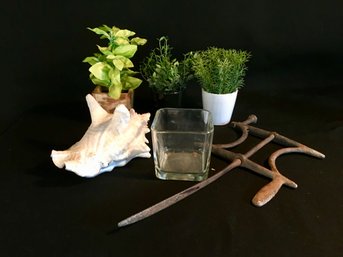 Shell, Faux Plants And Wrought Iron String Reel