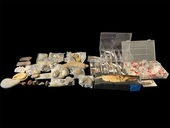 Fossil & Rock Collection (Basement)