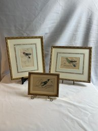 3 Colorized Bird Prints, Antique Certified Prints