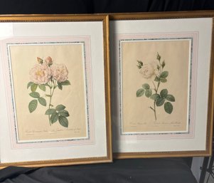 P J Redoute Pino Floral Framed Prints (LR)