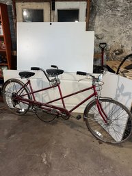 Schwinn De Luxe Twinn Bike