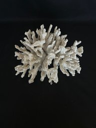 White Synthetic Coral