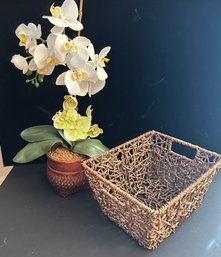 Orchid And Basket