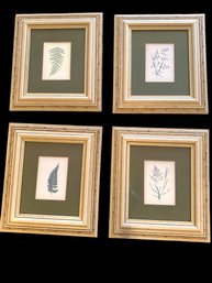 Botanical Prints