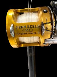 Penn Reels 30S Tuna Stick