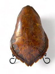 Vintage Tortoise Shell  (L)