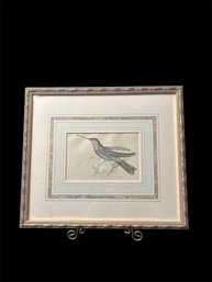 Antique Ornate Framed Purple Hummingbirds, Original Hand Coloring (L)