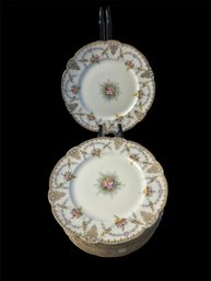 Limoges Porcelain Floral Plate Set (11) (L)