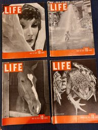 4 Life Magazines, Grace The Dummy, Frog, Summer Shower, Polo Horse