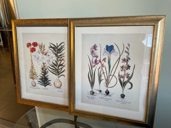2 Botanical Prints