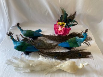 4 Peacocks & A Headband   (Lr)