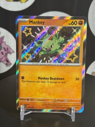Pokemon 2024 Mankey Shiny Holo