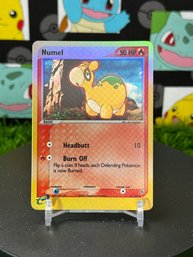 Pokemon Vintage 2003 Ruby And Sapphire Numel Reverse Holo