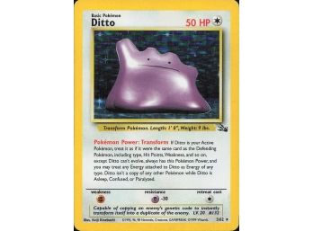 Fossil #0362 Ditto (3) Holo