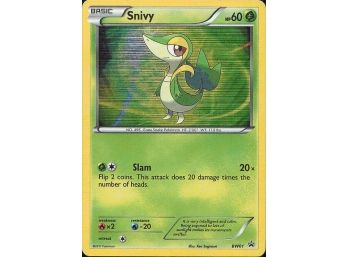 Black And White Promos #BW01 Snivy