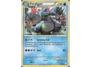 Deck Exclusives #020/123 Feraligatr - 20/123 (Cracked Ice Holo)