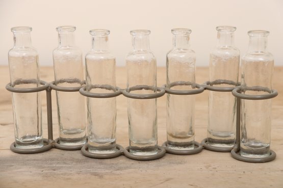 Bud Vase Bottle Collection With Metal Stand