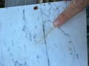 Large & Thick Piece Of White Marble - Great Veins!