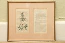 Framed Floral Botanical Print Geranium