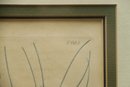 Framed Botanical Print No. 683 White Single Seeded Broom