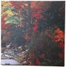 TripTych Fall Landscape River Canvas Print