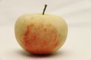 Polished Stone Apple Paperweight