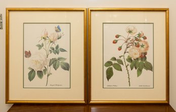 Pair Of Botanical Prints