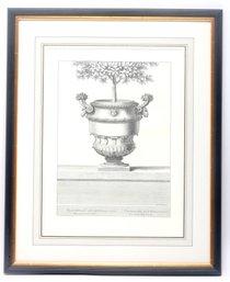 Framed Black And White Lithograph
