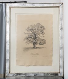 'Autumn Tree' Framed Lithograph Signed By Artist 82200 Curated By Lillian August