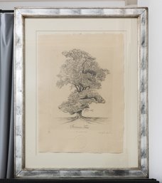 'Summer Tree' Framed Lithograph Signed By Artist 88200 Curated By Lillian August