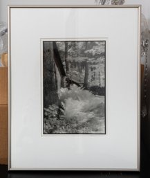 'summer Light' Framed Black & White Photograph By Renata Rainer Signed By Artist