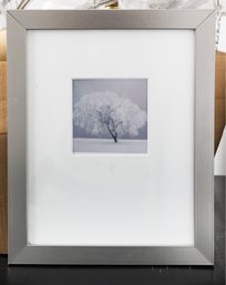 Framed Black & White Photograph Tree In Winter