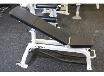 Cybex Adjustable Bench