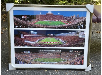 Hoosiers, Badgers, Gators College Stadium Print