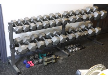 Huge Dumbbell Set With Bodysmith Rack