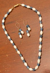 Blue And White Necklace And Earrings