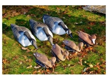 Canadian Geese And Duck Decoy Lot