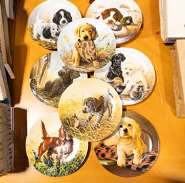 Set Of 8 Dog Collector Plates
