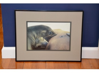 Seal Photography Signed And Framed