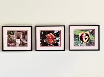 Trio Of Floral Framed Photographs